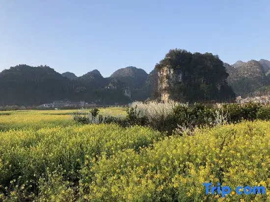 Xingyi Nanshannan Inn