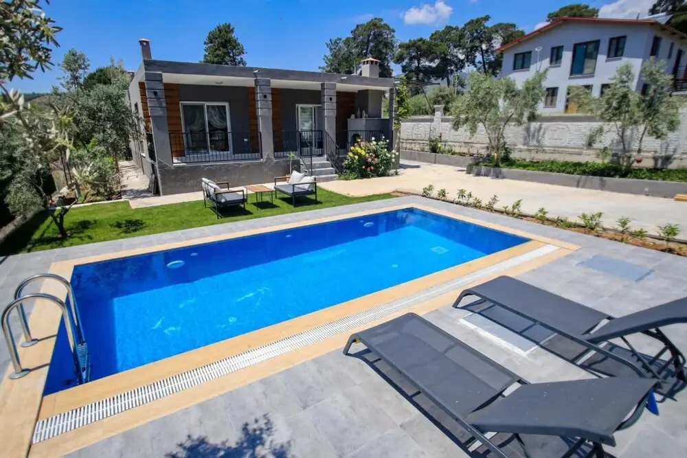 Villa With Private Pool Surrounded by Olive Trees