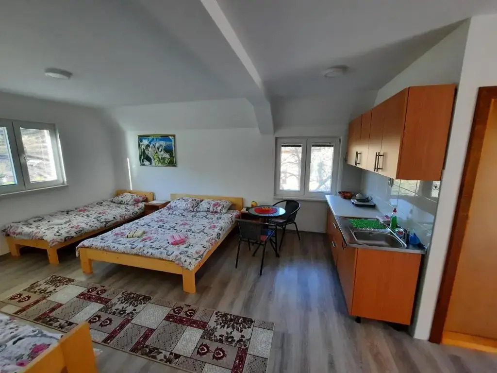 Apartmani Vila na Drini