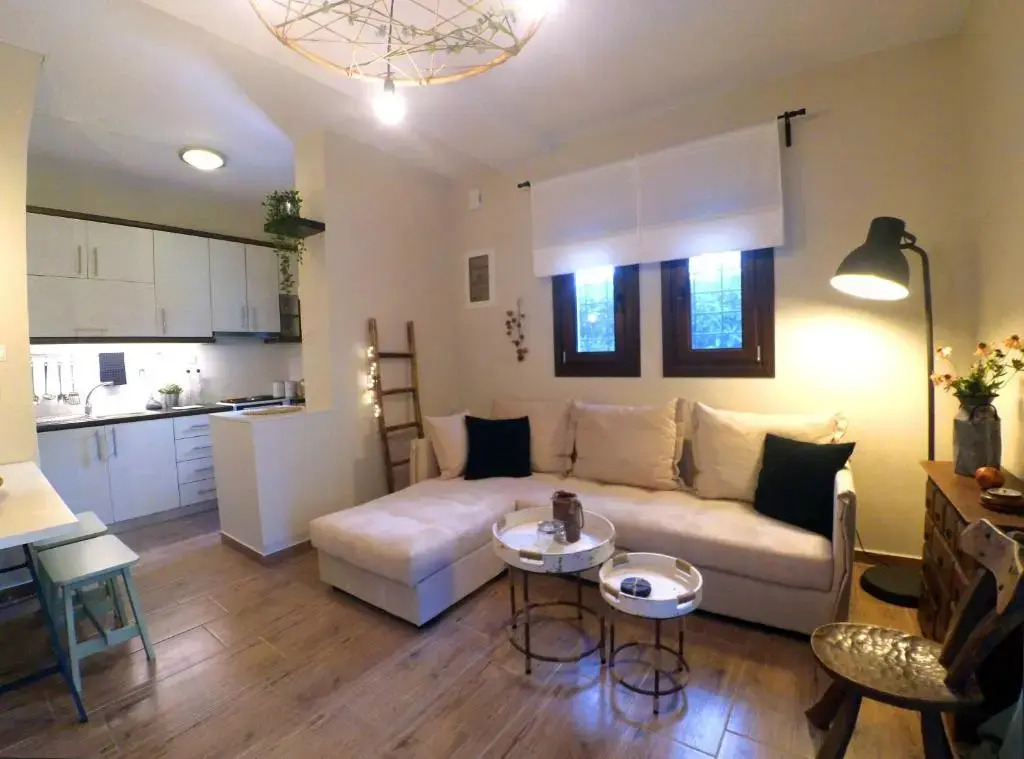 To Spiti - Pelion House