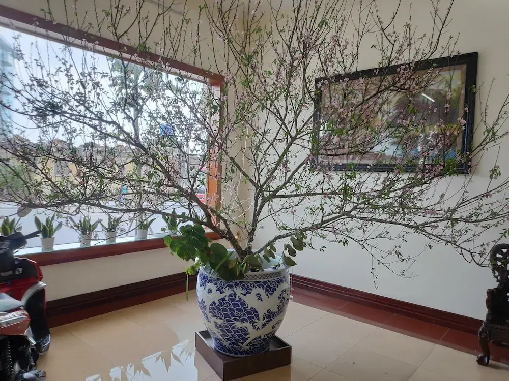 Ngoc Mai Hotel