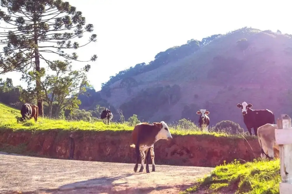 Pousada Vista do Paraíso