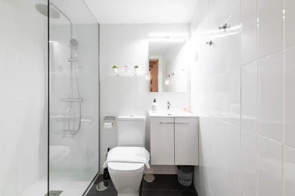 Duplex Lavapies 1BD
