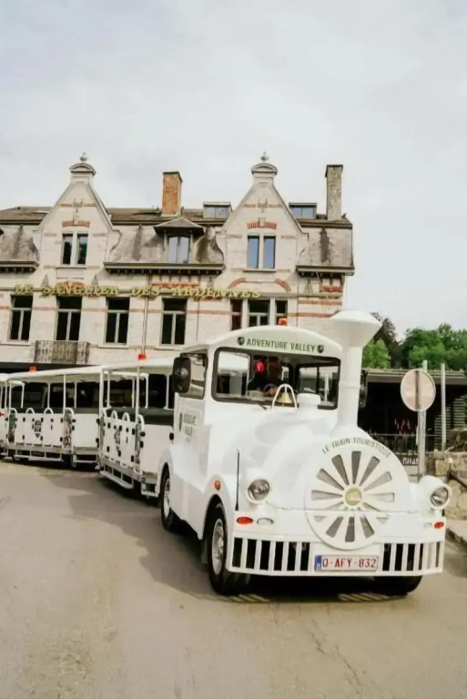 Hôtel Le Sanglier des Ardennes
