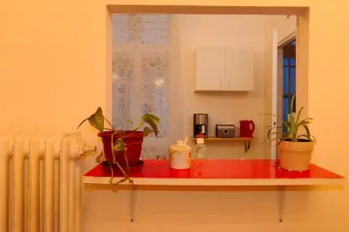 Zsofis House