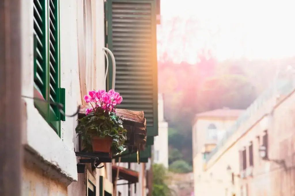 Appartamento trastevere Roma