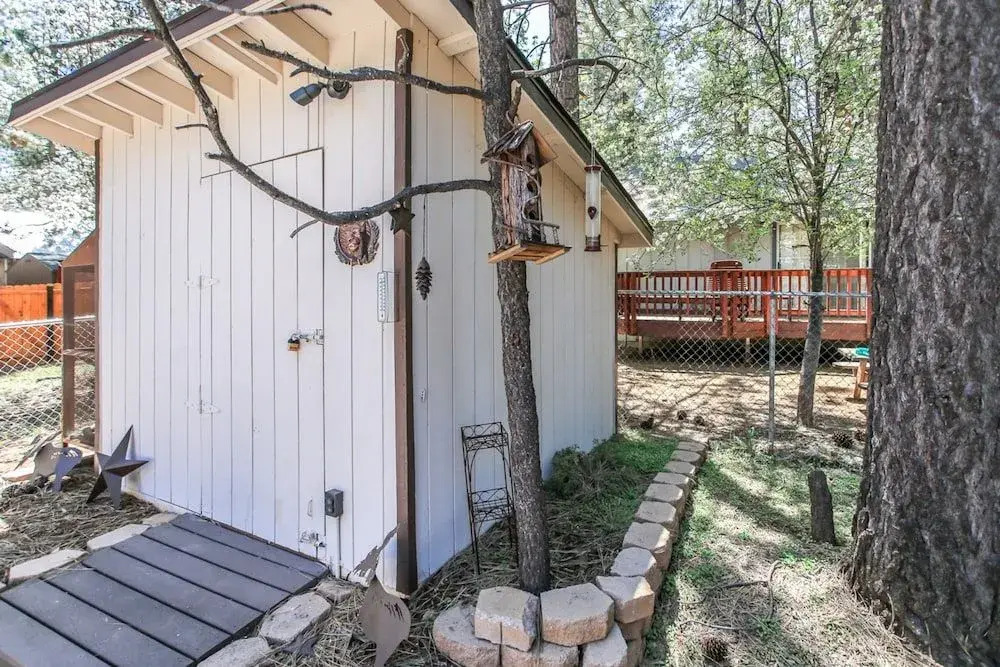 Black Bear Lodge