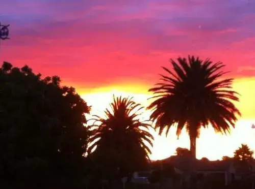 Royal Palms Papamoa Bed & Breakfast