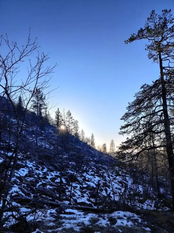 Hotelli Sodankylä