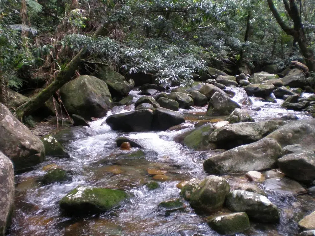 Daintree Village Hideaway