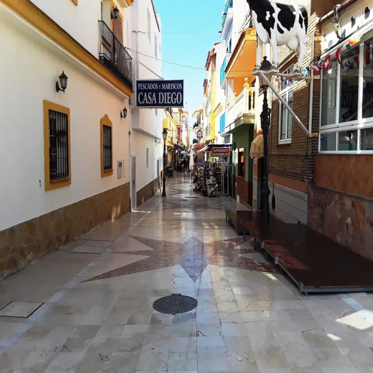 Apartamentos Vicenta Playa Carihuela