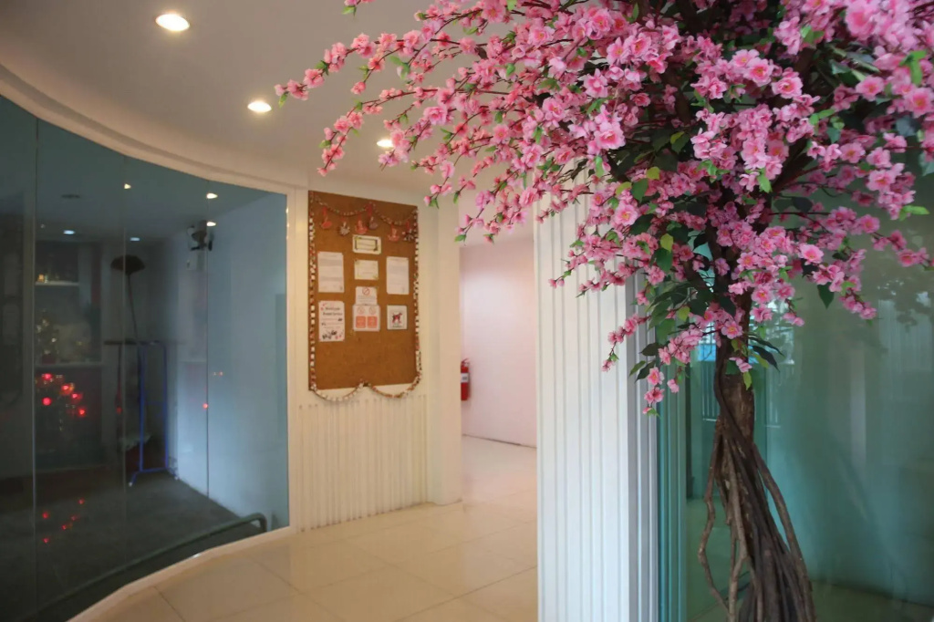 Pintree Service Apartment Pattaya