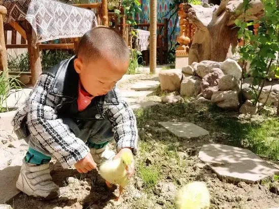 Yining Qingshe Homestay