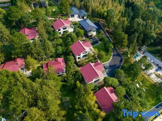 Wuyishan Rongjingshu Hotel