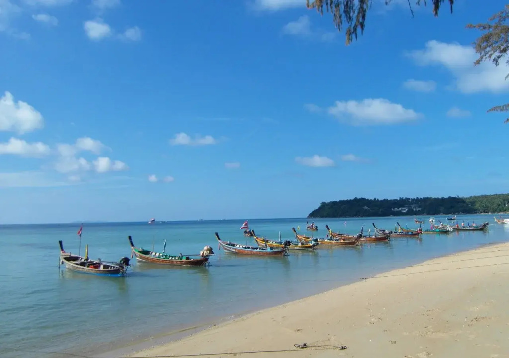 Palm Village