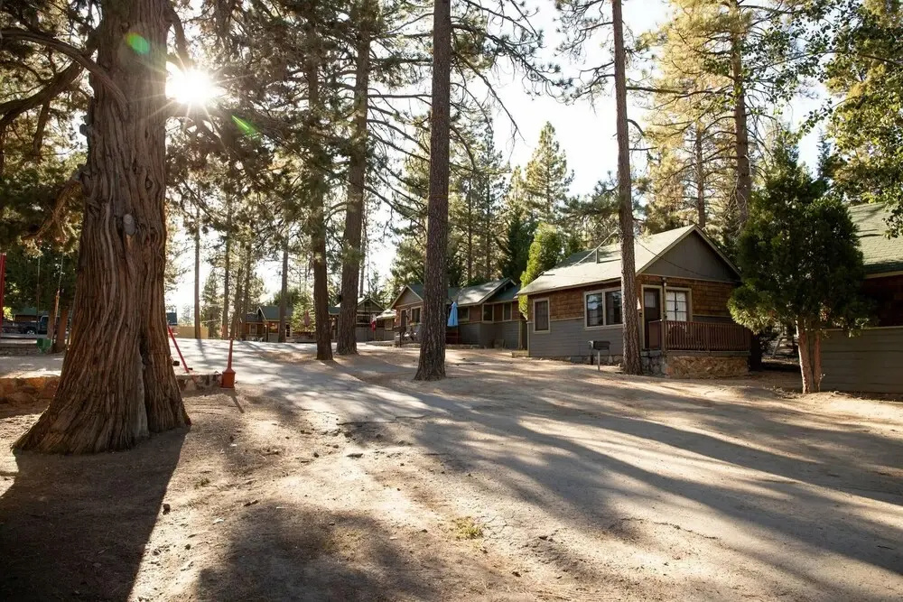 Cove Lakeview Cabin #2064 by Big Bear Vacations