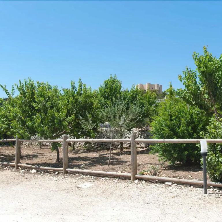 Montegusto