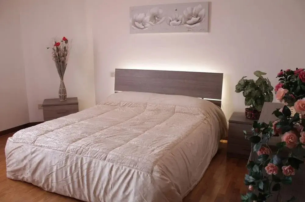 Stefano House