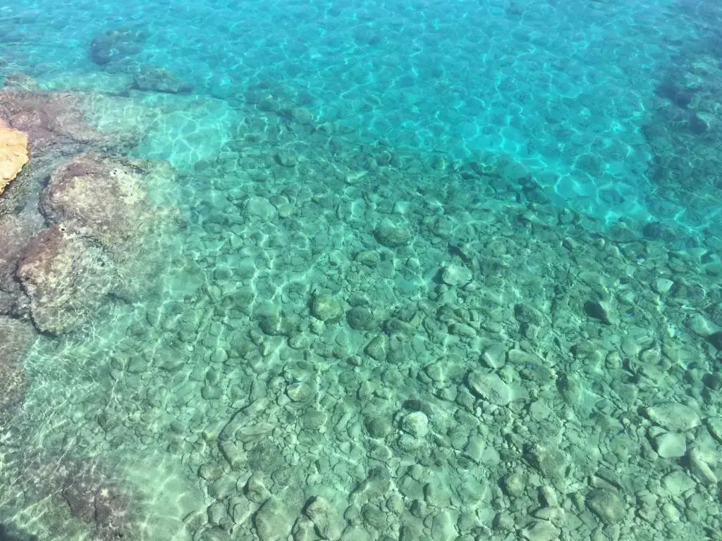Big Blue New