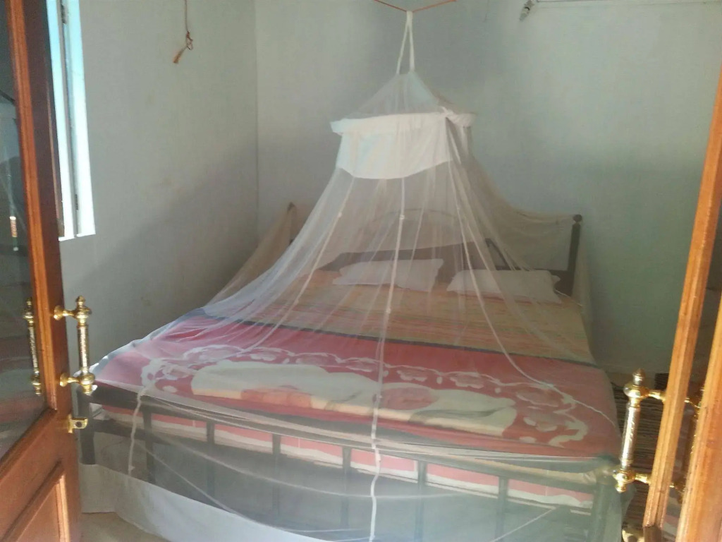 Casa fiesta patnem