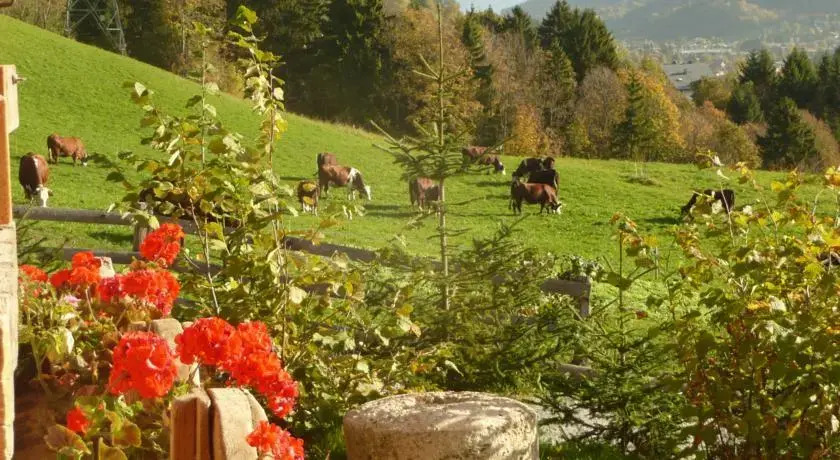 Alpage du Villard