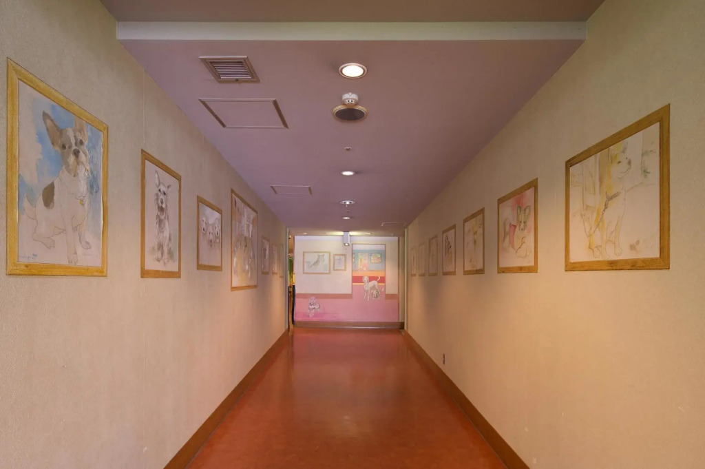 Izu-Kogen Wan Wan Paradise Condominium