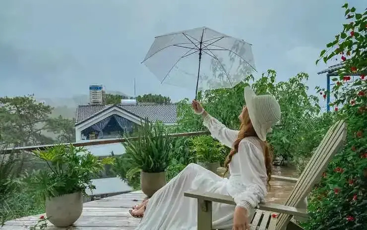 The Kupid - Dalat No Single