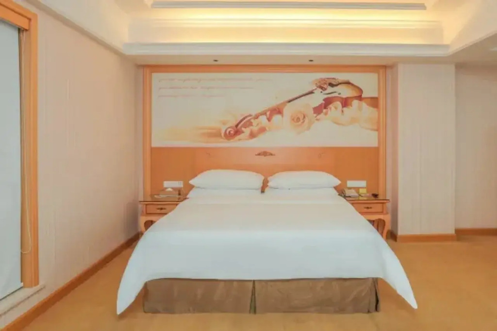 Vienna Hotel Guangdong Gaozhou City East Passenger Depot