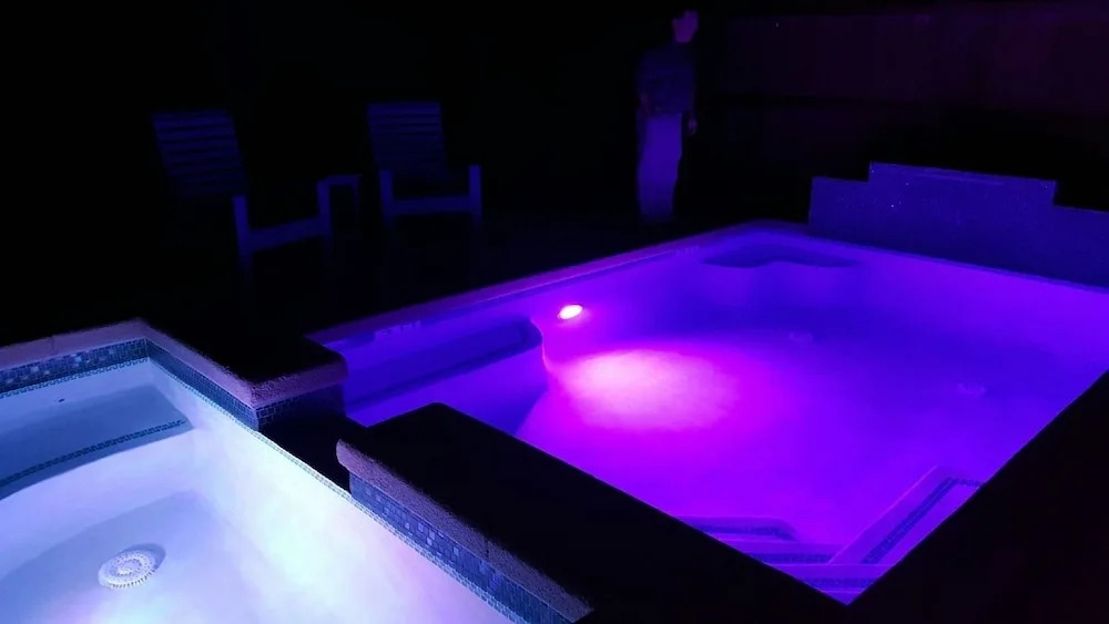 The Pink Palm