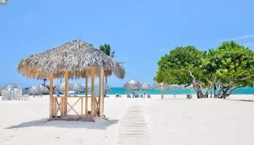 Beautiful Beachfront 2-Bdr Apt D301