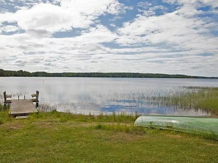Petäjäinen