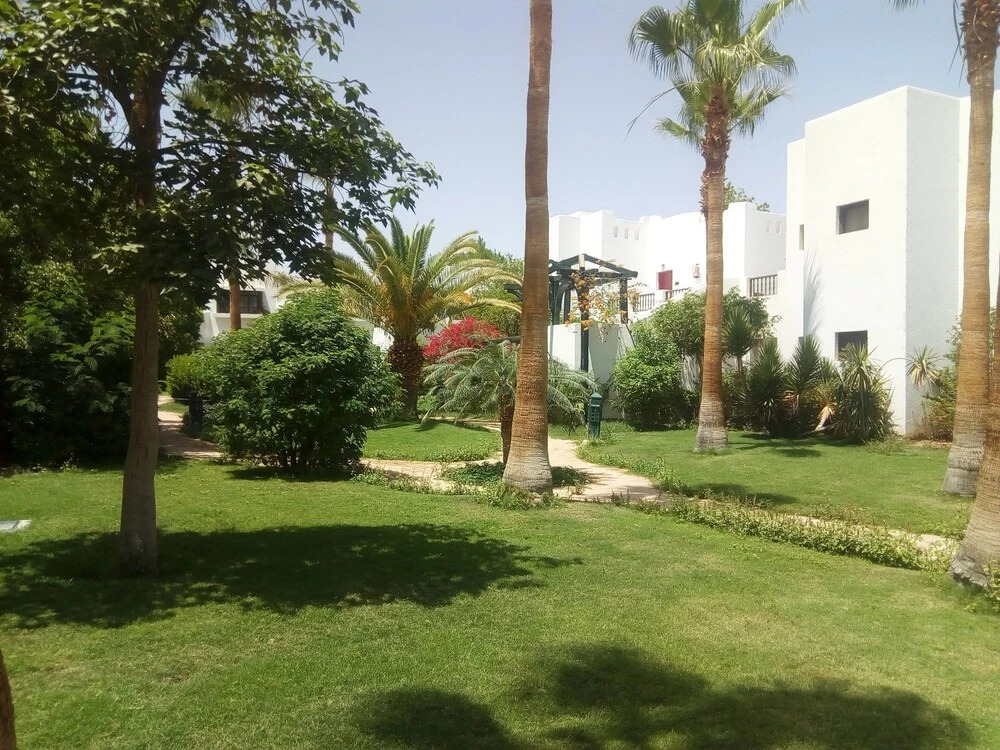 Lamimma Apartment