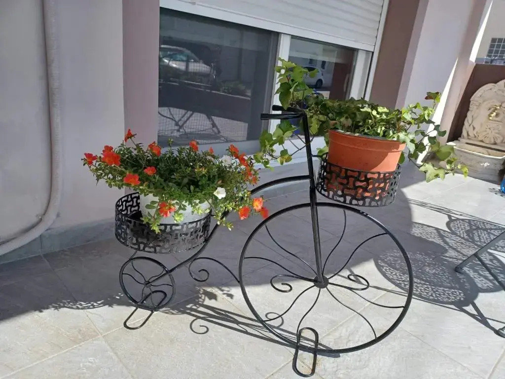 Comfort House Mimosa 1