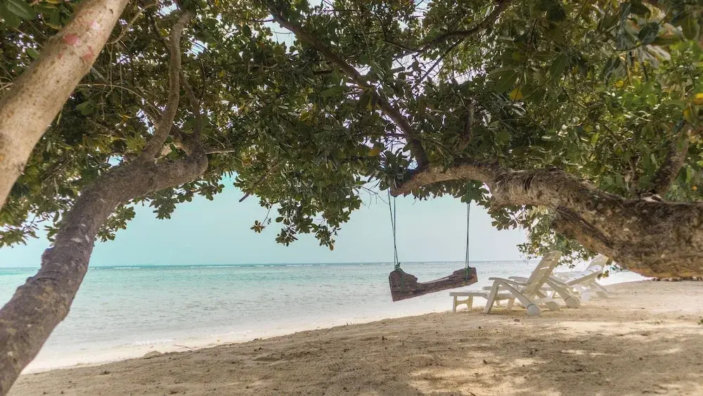 Palm Rest Maldives