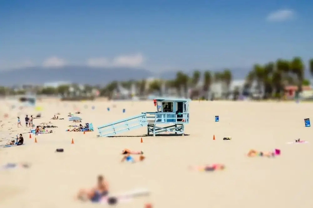 Walk to Venice Beach From a Sleek Apartment