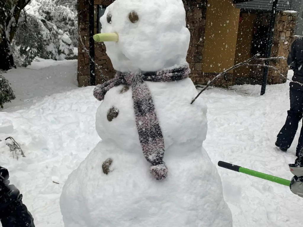 Snowstream 8