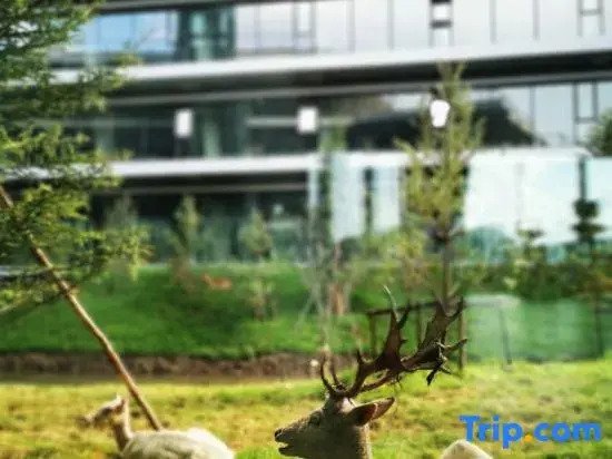 Zaizhihe·Manjiang Luyuan Vacation hotel