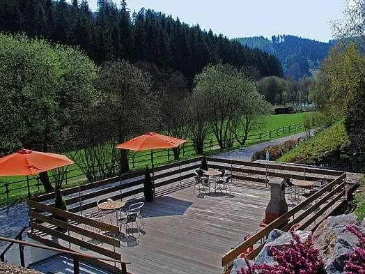 Ferienwohnungen Willingen Wald