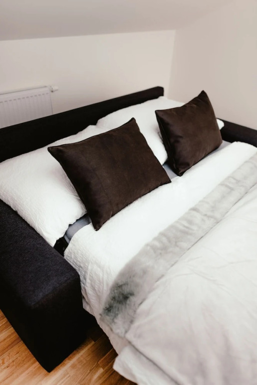Luxury Apartments Zelny Trh 4