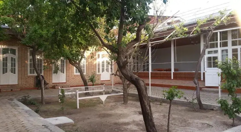 Najiba