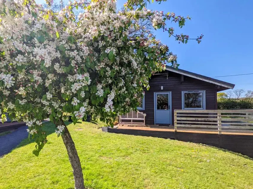 Avallon Lodges