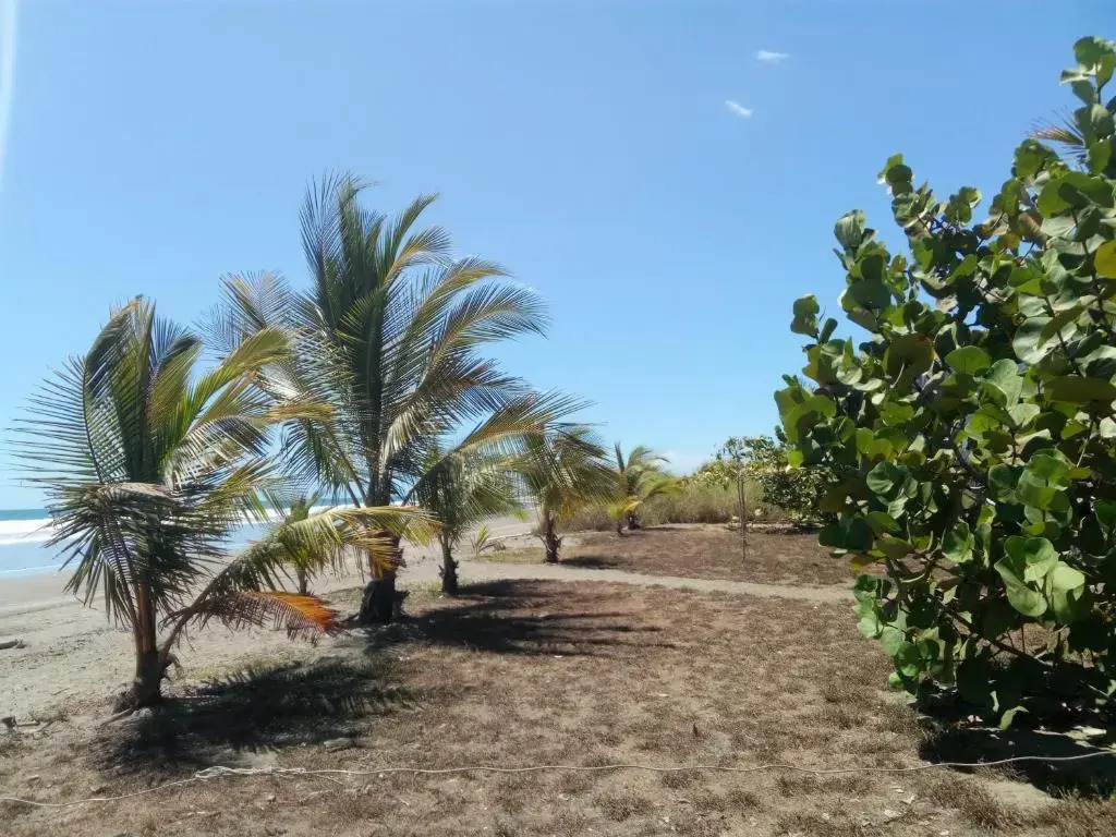 B&B Le Villette Las Lajas