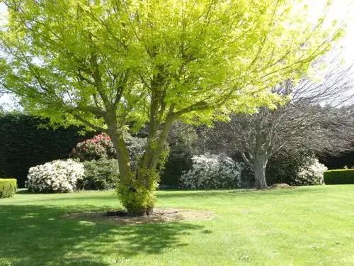 Bellhamys B&B