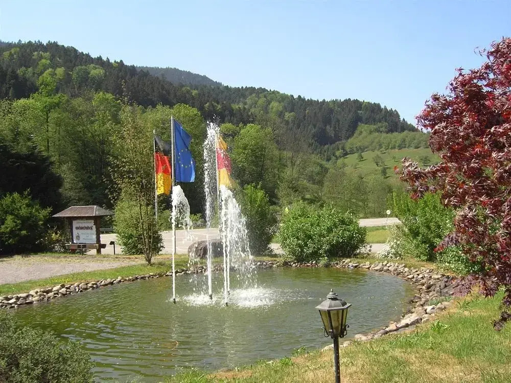 Schwarzwaldhotel Erdrichshof