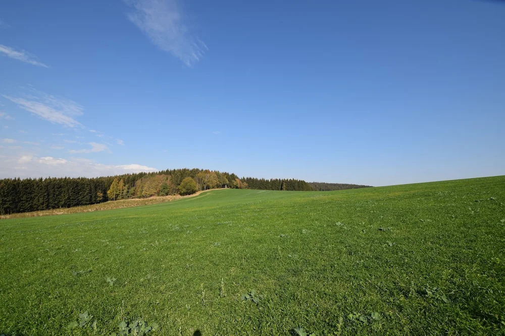 Landgasthof Wolfsgrund