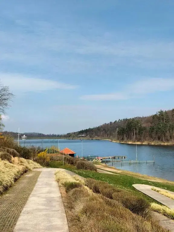 Neues-Ferienhaus-am-schoenen-Ferienpark-Twistesee-Naehe-Bad-Arolsen