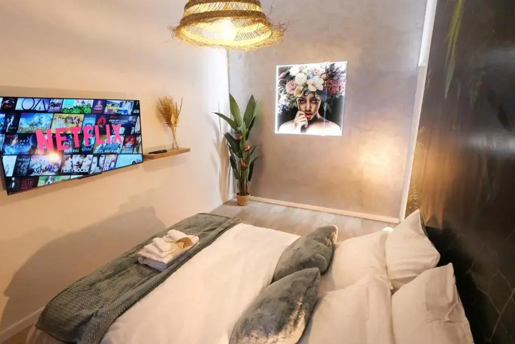 Appartements Premium en Hyper Centre Ville