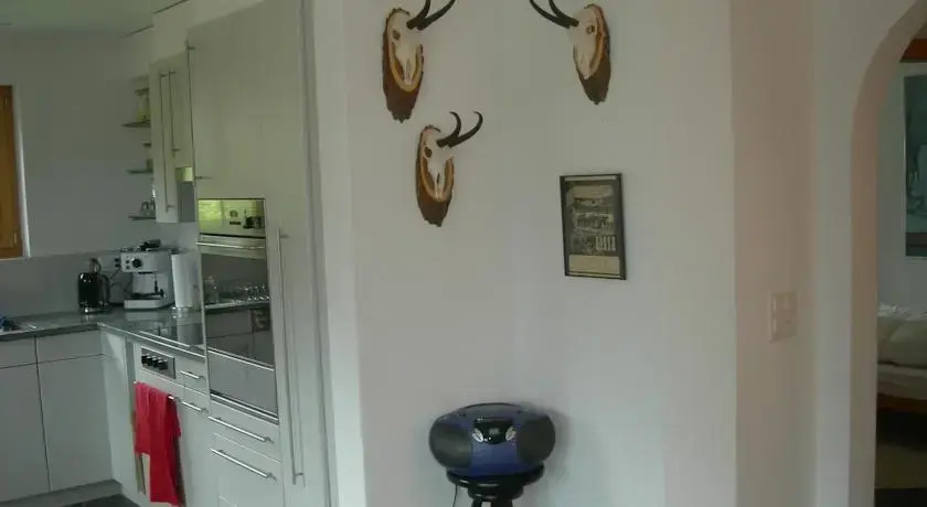 Chesigna 3