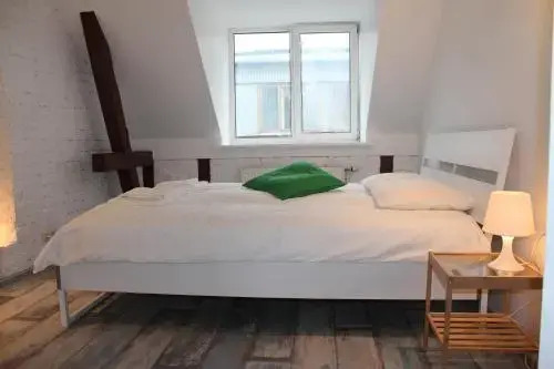 Three-Bedroom Apartment on Peldu 19