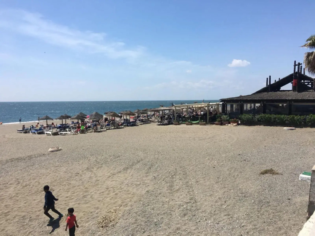 Estrella del mar